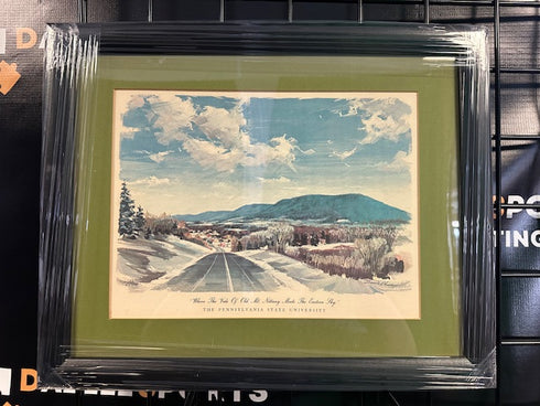 The Pennsylvania State University 9x12 Framed Photo