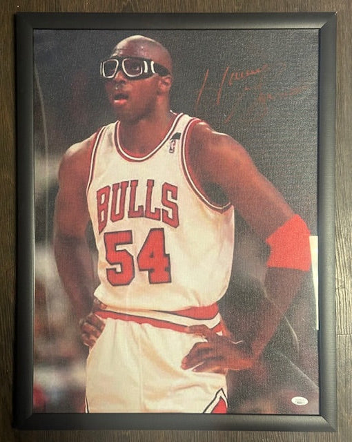 Bulls Horace Grant Framed Canvas JSA COA