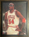 Bulls Horace Grant Framed Canvas JSA COA