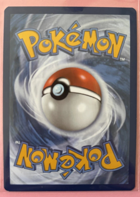 Gible SHINY SV38/SV94 Hidden Fates Holo Foil Rare Pokemon Card