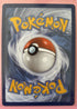 Gible SHINY SV38/SV94 Hidden Fates Holo Foil Rare Pokemon Card