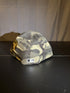 Los Angeles Angels Camo Logo Hat 59fifty New Era Size 7 1/4 Fitted Cap