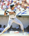 Oakland Athletics Jose Canseco Signed 8x10 Batting Beckett