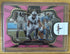 2025 Panini Select - Field Level Pink Prizm Christian Wilkins #406 /15