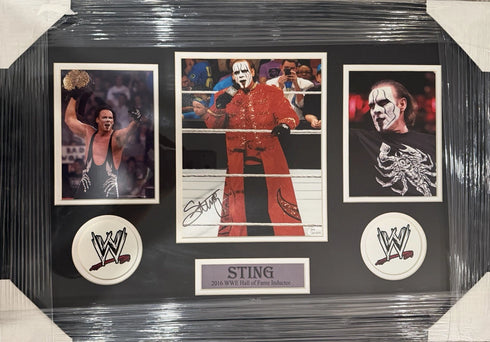 2016 WWE HOF Sting Autographed Framed 8x10 Photo With JSA COA