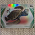 Topps Pixar Finding Nemo Crush & Squirt Hologram Non-Sport Trading Card #82 2026
