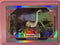 Topps Disneyland 70th Anniversary Primeval World Rainbow #7