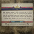 2025 Topps Disneyland 70th Anniversary #132 (Pink Shimmer) FRONTIERLAND AERIAL