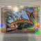 2025 Topps Disneyland 70th Anniversary Rainbow Foil The Lands Adventureland