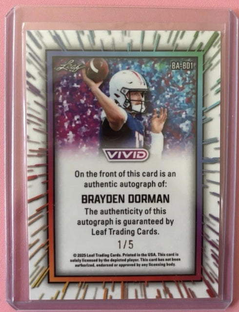 2025 Leaf Vivid /5 White Shimmer Brayden Dorman Auto