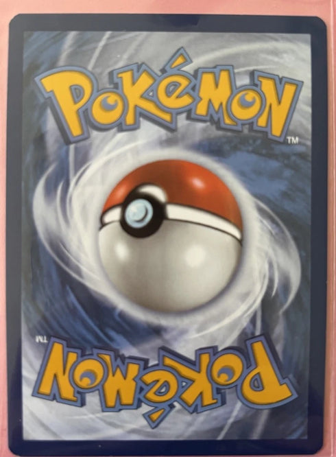2023 Pokémon TCG Falkner Paldea Evolved 251/193 Full Art NM