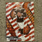 2025 Mosaic Shedeur Sanders Red And White Stripe Rookie No.302 SP